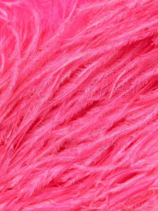 Alice + Olivia Kidman Dyed Ostrich Feather Jacket 9 Alice + Olivia Kidman Dyed Ostrich Feather Jacket - Image 7